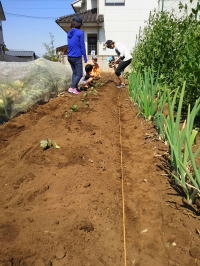 �����������������C���[�W