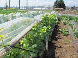 �����������������C���[�W